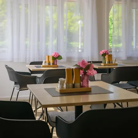 Hbh Bajor Soerhaz Solyomfeszek Panzio Frühstückspension 3*